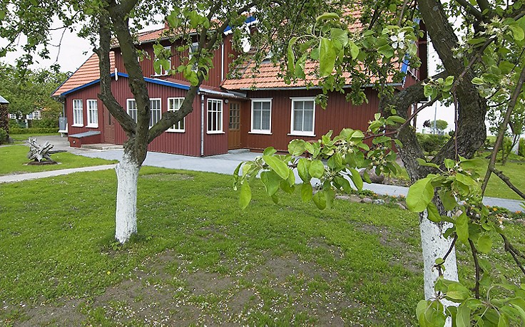 Foto: Mauritius Images So schütz man junge Obstbäume vor Wildbiss.