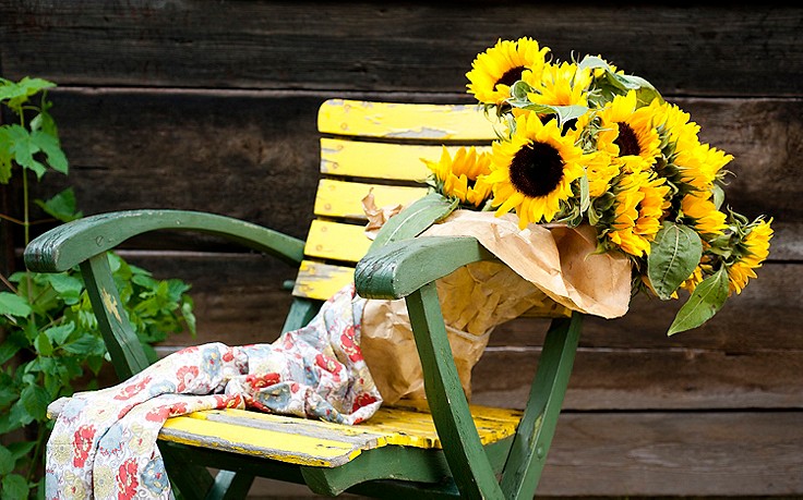 Welche Blume Steht Für Entschuldigung