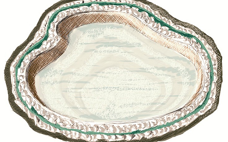 Sechs Schritte zum Bioteich - (c) Julia Schweikhardt Sechs Schritte zum Bioteich