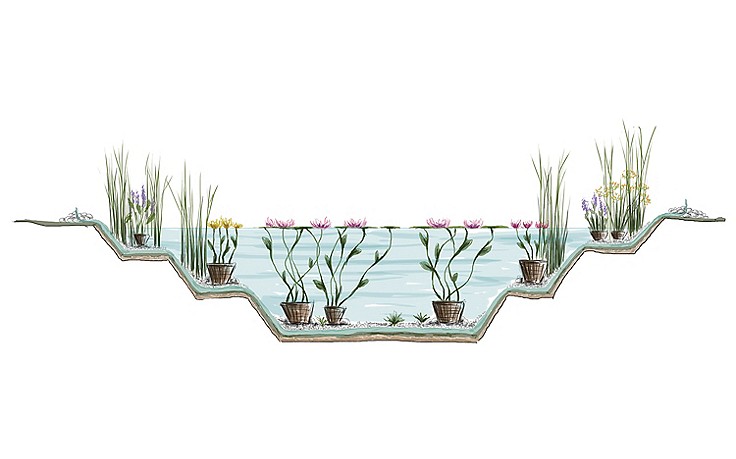 Sechs Schritte zum Bioteich - (c) Julia Schweikhardt Sechs Schritte zum Bioteich