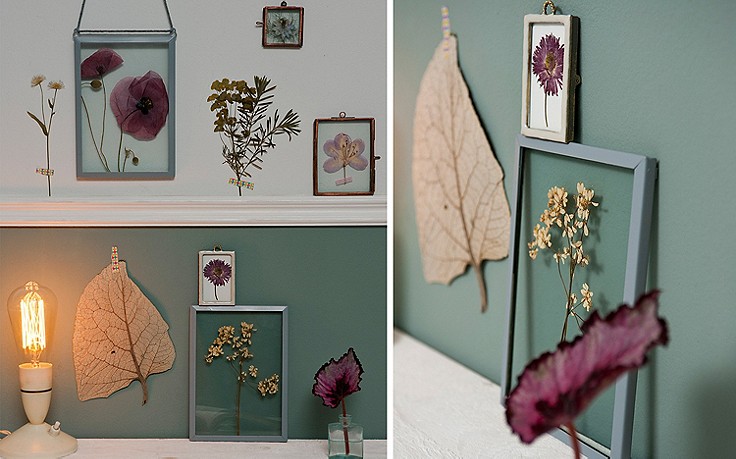 Foto: Katharina Gossow Gepresste Blumen zwischen Glas und an der Wand