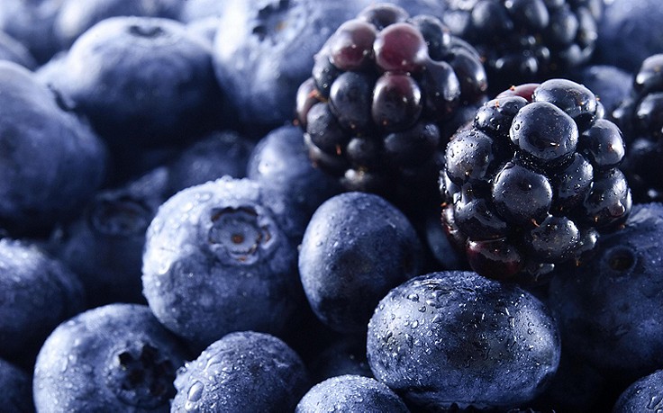 Foto: Mauritius Images Brombeeren und Heidelbeeren