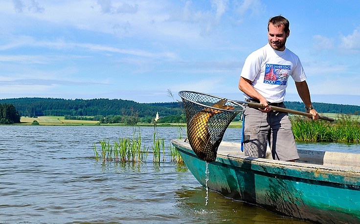 Foto: Waldviertel Tourismus/Robert Herbst Karpfenfischen