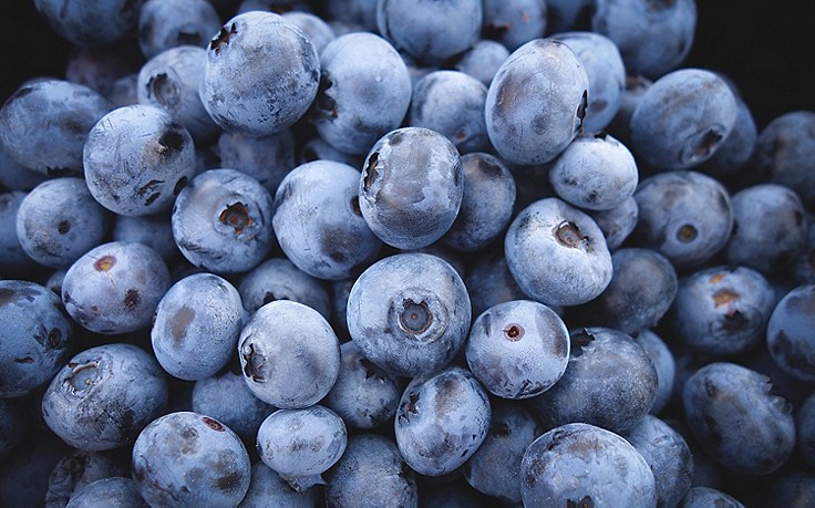 Foto: Pixabay Heidelbeeren