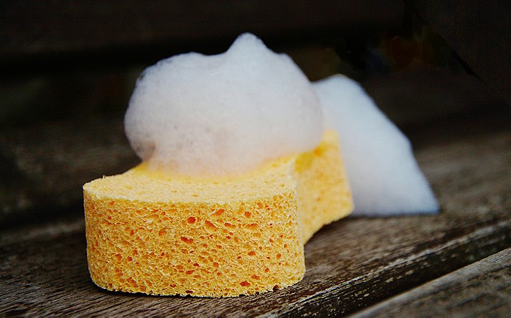 Foto: Pixabay Schwamm