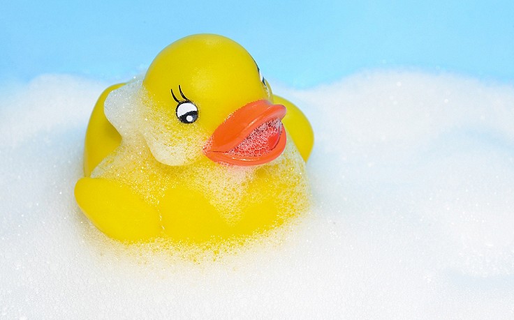 Foto: Pixabay Badeente
