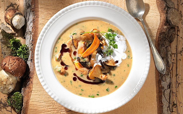 Schwammerlsuppe Schwammerlsuppe