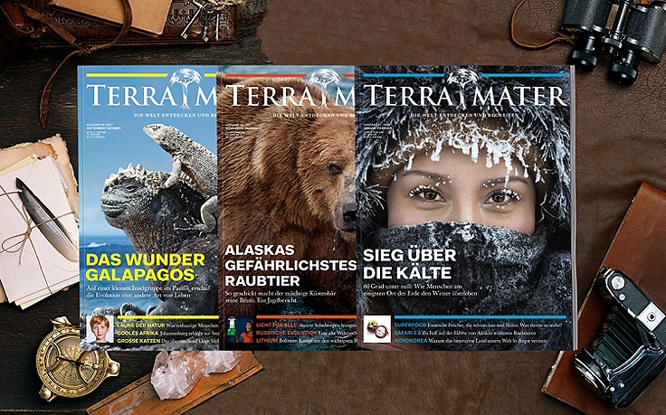 Terramater Terramater