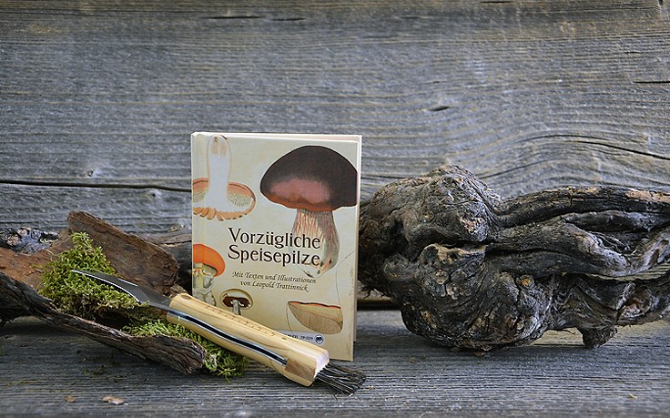pilzmesser und pilzbuch - (c) Servus Marktplatz pilzmesser/buch