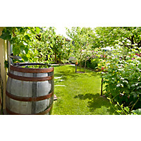 wasser sparen im garten tipps sommer, mai-gartentipp nr. 2: wie man im garten wasser spart, Design ideen