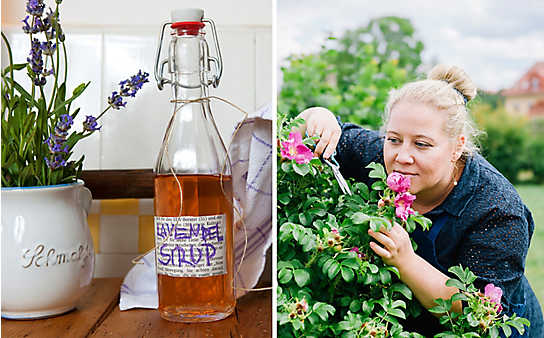 Sirup aus dem Garten: Wenn’s riecht, dann schmeckt’s. - (c) Foto: Daniel Gebhart de Koekkoek Sirup aus dem Garten: Wenn’s riecht, dann schmeckt’s.