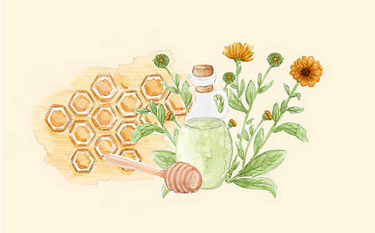 Grüne Kosmetik zum Selbermachen: heilende Ringelblumensalbe - (c) Illustration: Anna Schober Grüne Kosmetik zum Selbermachen: heilende Ringelblumensalbe