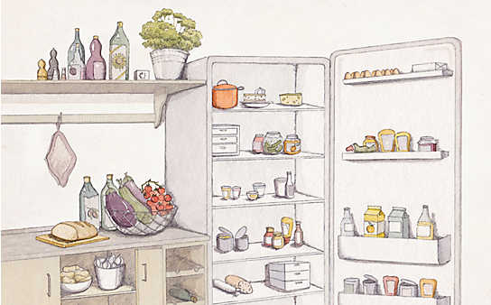 Kühlschrank-Leitfaden: So bleiben Ihre Lebensmittel länger frisch - (c) Illustration: Julia Lammers Kühlschrank-Leitfaden: So bleiben Ihre Lebensmittel länger frisch