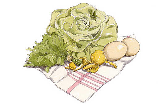 So halten sensible Lebensmittel länger und bewahren den vollen Geschmack - (c) Illustration: Julia Lammers So halten sensible Lebensmittel länger und bewahren den vollen Geschmack