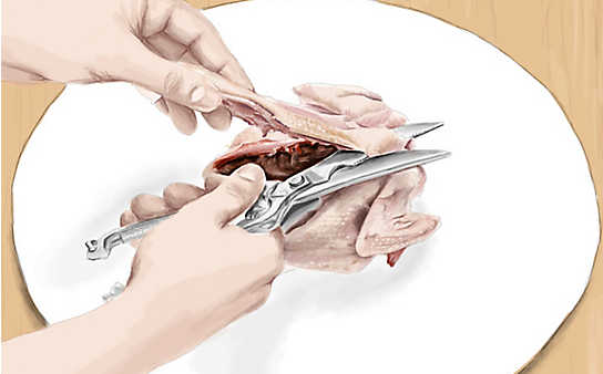 Kleine Fleischkunde: So klappen Sie ein Huhn richtig auf - (c) Illustration: Julia Schinzel Kleine Fleischkunde: So klappen Sie ein Huhn richtig auf