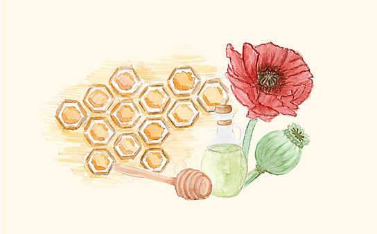 Grüne Kosmetik zum Selbermachen: Mohnöl-Deocreme - (c) Illustration: Anna Schober Grüne Kosmetik zum Selbermachen: Mohnöl-Deocreme