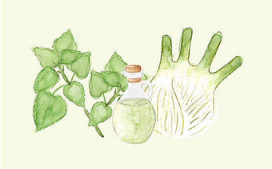 Grüne Kosmetik zum Selbermachen: Schönheitsöl - (c) Illustration: Anna Schober Grüne Kosmetik zum Selbermachen: Schönheitsöl