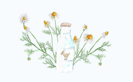 Grüne Kosmetik zum Selbermachen: Kinderbad mit Ziegenmilch und Haferflocken - (c) Illustration: Anna Schober Grüne Kosmetik zum Selbermachen: Kinderbad mit Ziegenmilch und Haferflocken