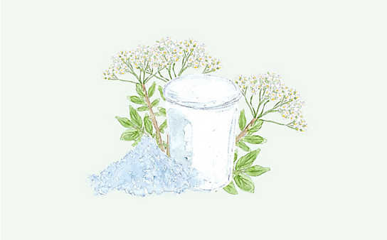 Grüne Kosmetik zum Selbermachen: Erkältungsbad mit Mädesüß - (c) Illustration: Anna Schober Grüne Kosmetik zum Selbermachen: Erkältungsbad mit Mädesüß