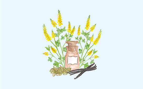 Grüne Kosmetik zum Selbermachen: Winter-Parfüm - (c) Illustration: Anna Schober Grüne Kosmetik zum Selbermachen: Winter-Parfüm