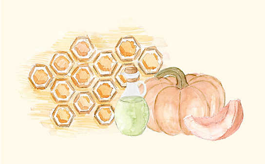 Grüne Kosmetik zum Selbermachen: Lippenbalsam mit Kürbis - (c) Illustration: Anna Schober Grüne Kosmetik zum Selbermachen: Lippenbalsam mit Kürbis