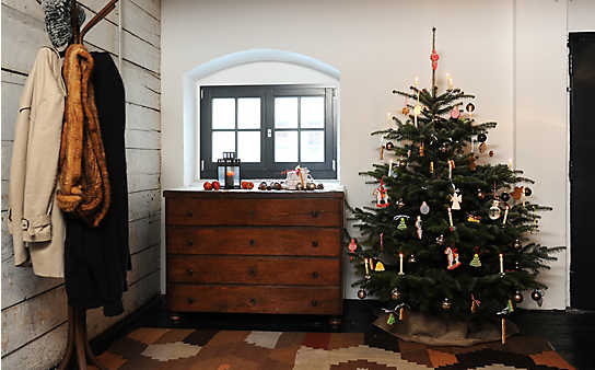 Woher kommt der Christbaum? - (c) Foto: Alexi Pelekanos Woher kommt der Christbaum?