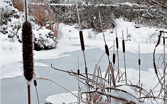 Wie man verhindert, dass der Teich zufriert - (c) Foto: Phillipp Schuster Wie man verhindert, dass der Teich zufriert