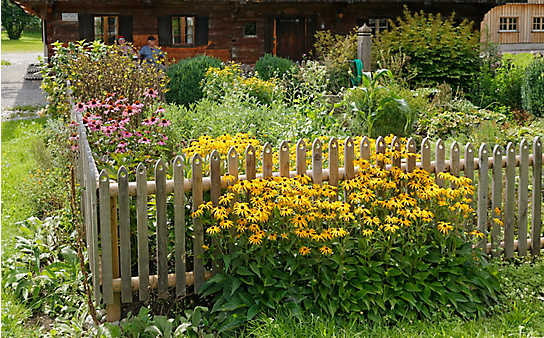 Diese Blumen dürfen im klassischen Bauerngarten nicht fehlen - (c) Foto: Mauritius Images Diese Blumen dürfen im klassischen Bauerngarten nicht fehlen