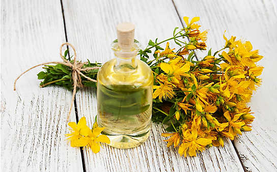 Grüne Kosmetik zum Selbermachen: Johanniskraut-Heilsalbe - (c) Foto: iStock.com Grüne Kosmetik zum Selbermachen: Johanniskraut-Heilsalbe
