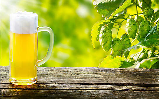 5 Bier-Produkte, die keinen Schwips verursachen - (c) Foto: Mauritius Images 5 Bier-Produkte, die keinen Schwips verursachen