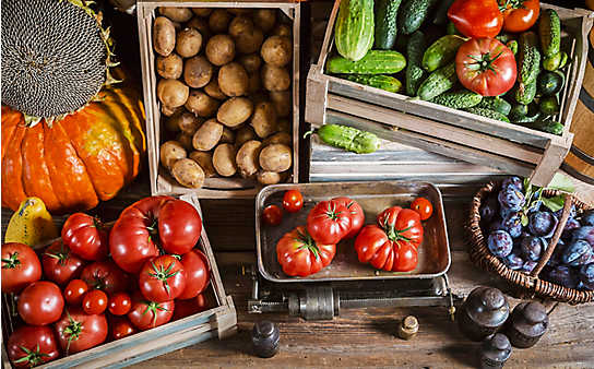 Ordnung im Gemüse- und Obstlager - (c) Foto: Mauritius Images Ordnung im Gemüse- und Obstlager