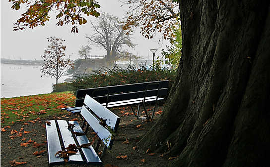 5 Gründe, den November im Freien zu verbringen - (c) Foto: Pixabay 5 Gründe, den November im Freien zu verbringen