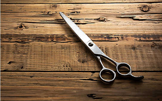 Mit diesem Trick wird die Schere wieder scharf - (c) Foto: Pixabay Mit diesem Trick wird die Schere wieder scharf