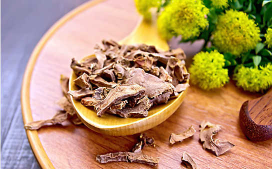 Rosenwurz-Auszug für innere Ruhe - (c) Thinkstock Rosenwurzauszug