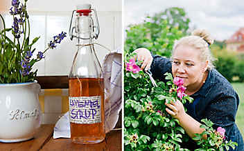 Sirup aus dem Garten: Wenn’s riecht, dann schmeckt’s. - (c) Foto: Daniel Gebhart de Koekkoek Sirup aus dem Garten: Wenn’s riecht, dann schmeckt’s.