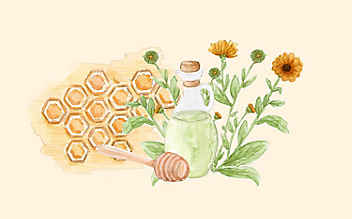 Grüne Kosmetik zum Selbermachen: heilende Ringelblumensalbe - (c) Illustration: Anna Schober Grüne Kosmetik zum Selbermachen: heilende Ringelblumensalbe