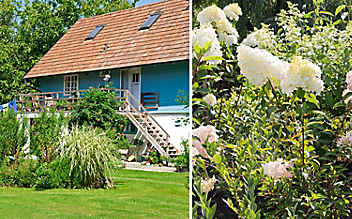 Käfers Gartentipps: 5 Spätsommerblüher Käfers Gartentipps: 5 Spätsommerblüher