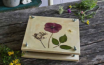 Wir bauen eine Blumenpresse - (c) Foto: Michaela Gabler Wir bauen eine Blumenpresse