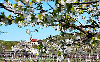 7 Tipps rund um den Neusiedler See - (c) Foto: Cathrine Stukhard 7 Tipps rund um den Neusiedler See