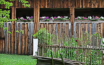 Die ideale Erde für Balkonblumen - (c) Foto: Philip Platzer Die ideale Erde für Balkonblumen