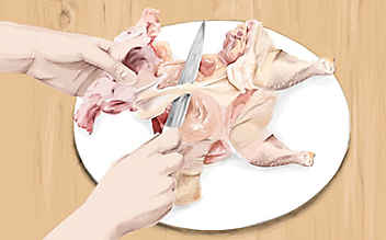 Kleine Fleischkunde: So entbeinen Sie ein Huhn und lassen es trotzdem ganz - (c) Illustration: Julia Schinzel Kleine Fleischkunde: So entbeinen Sie ein Huhn und lassen es trotzdem ganz