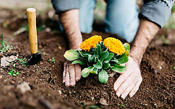 Was im Ziergarten im März zu tun ist - (c) Foto: Mauritius Images Was im Ziergarten im März zu tun ist
