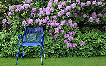 Was im Ziergarten im April zu tun ist - (c) Foto: Mauritius Images Was im Ziergarten im April zu tun ist