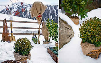 Was im Ziergarten im Dezember zu tun ist - (c) Foto: Michael Nagl Was im Ziergarten im Dezember zu tun ist