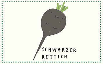 Diese Gemüsesorten haben im Februar Saison - (c) Illustration: Katrin Wiehle Diese Gemüsesorten haben im Februar Saison