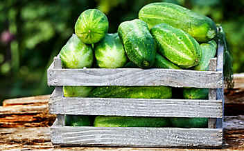 Diese Obst- und Gemüsesorten haben im Juni Saison - (c) Foto: Mauritius Images Diese Obst- und Gemüsesorten haben im Juni Saison