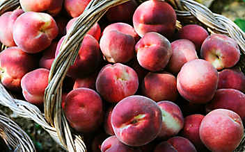 Diese Obst- und Gemüsesorten haben im August Saison - (c) Foto: Mauritius Images Diese Obst- und Gemüsesorten haben im August Saison