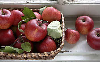 Diese Obst- und Gemüsesorten haben im November Saison - (c) Foto: iStock Photo Diese Obst- und Gemüsesorten haben im November Saison