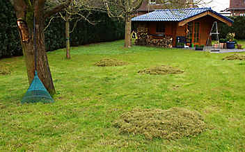 September-Gartentipp Nr. 1: Die letzte Pflege des Rasens vor dem Winter - (c) Foto: Mauritius Images September-Gartentipp Nr. 1: Die letzte Pflege des Rasens vor dem Winter