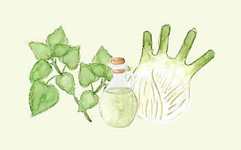 Grüne Kosmetik zum Selbermachen: Schönheitsöl - (c) Illustration: Anna Schober Grüne Kosmetik zum Selbermachen: Schönheitsöl
